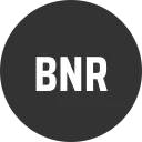 BiNeuro