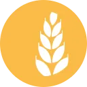 LuaToken