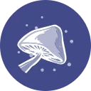 Spore