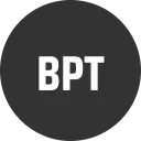 Bitpayer Token