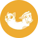 CatDog on Sol