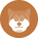 DogeCash