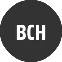 10X Short Bitcoin Cash Token