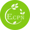Ethereum Cash Pro New