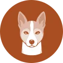 Basenji