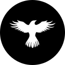 Raven Protocol