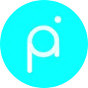 Project PAI