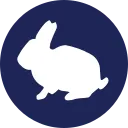 RabbitCoin
