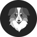 Australian Safe Shepherd