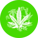 DopeCoin