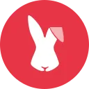 RabbitX