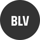 Bellevue Network