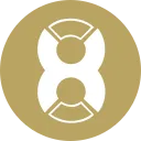 X8X Token