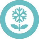 SnowBlossom