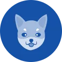 Hokkaido Inu