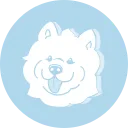 SnowgeCoin