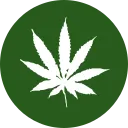 CannabisCoin