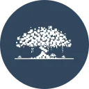 Banyan Network