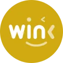 WinkLink