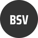 BSV5S