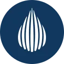 Dropil